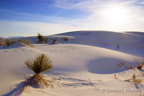 White Sands_32378.jpg - Photographed at the White Sands National Monument near Alamogordo, New Mexico, USA.